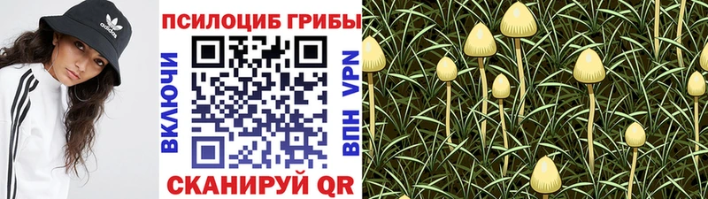 Галлюциногенные грибы GOLDEN TEACHER  наркотики  Первомайск 